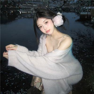 屋顶的公寓